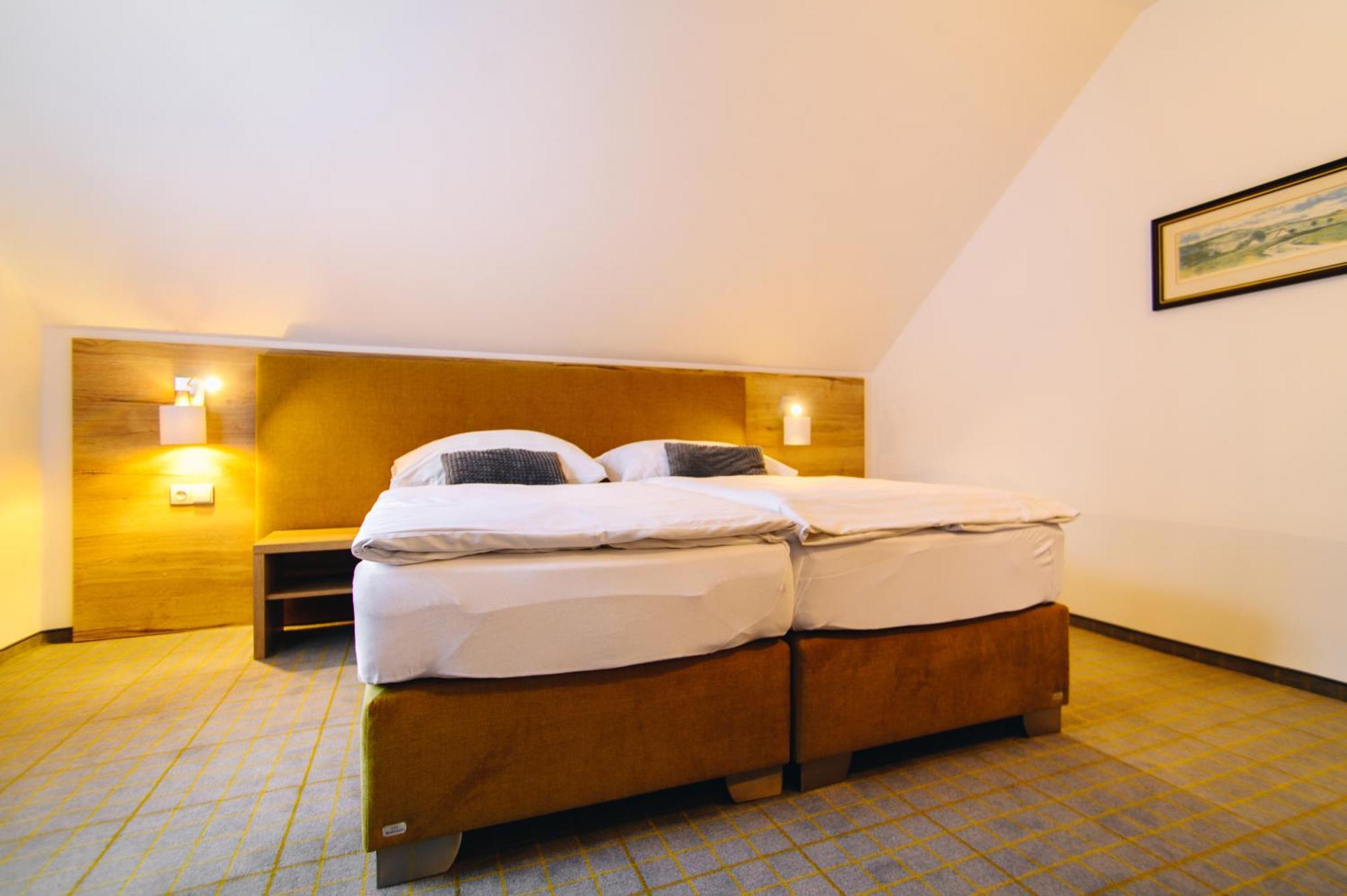 Hotel Ski Nove Mesto na Morave Extérieur photo